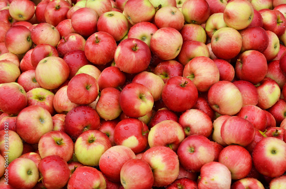 Ripe apples Ripe apples