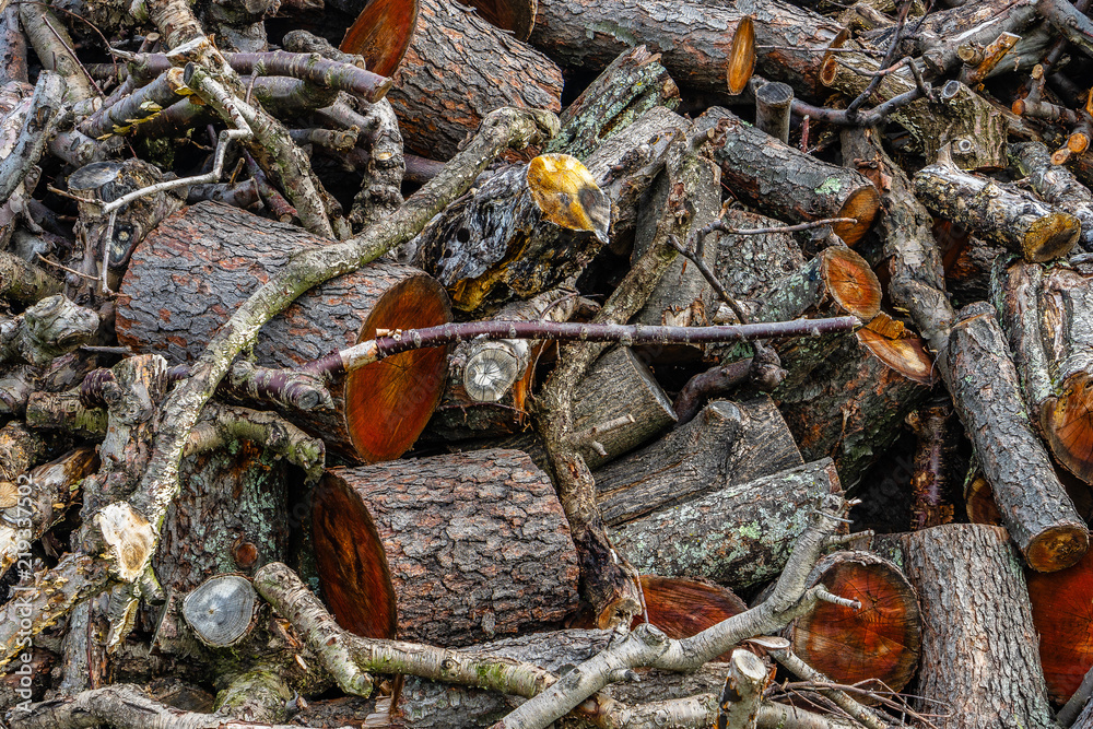 Pile of wood, tree branch or log,