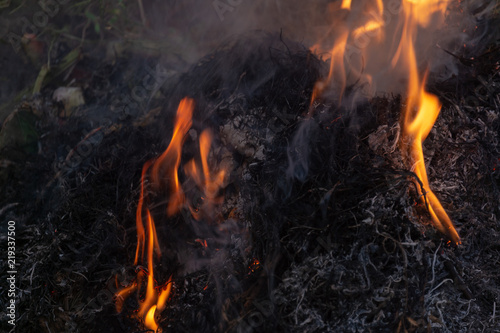 fire, burn a bunch of dry grass