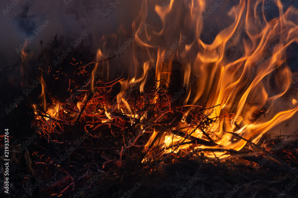 fire, burn a bunch of dry grass fire, burn a bunch of dry grass