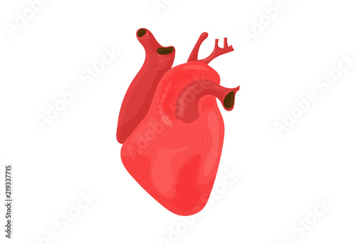 Vector illustration: red heart isolated. Open Heart icon.