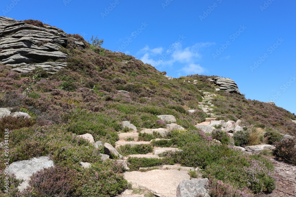 Rocky trail on hillside
