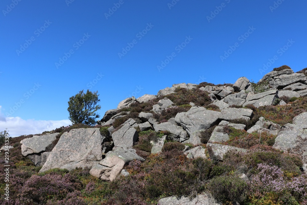 Rocks and tree on hilltop against blue sky with copy space