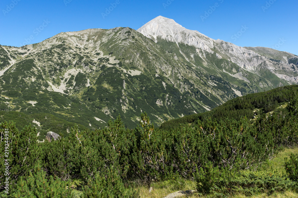 Landscape with Hvoynati and Vihren Peak, Pirin Mountain, Bulgaria