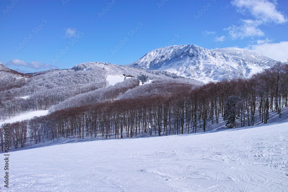 Fototapeta premium 霧氷とゲレンデ 