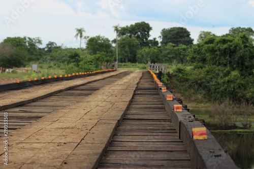 Wood bridge © Muryllo