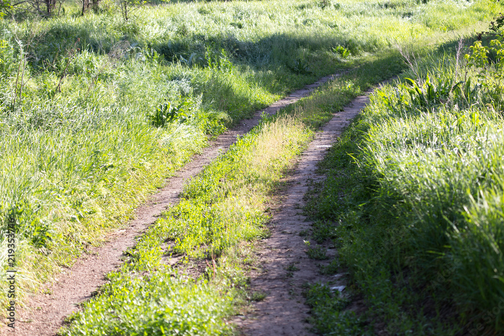 spring, rural road along the edges of fields of dense green grass spring, rural road along the edges of fields of dense green grass
