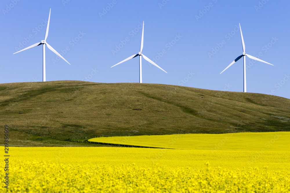 Wind Turbine Alternative Energy Wind Turbine Alternative Energy