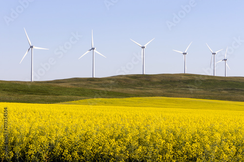 Wind Turbine Alternative Energy