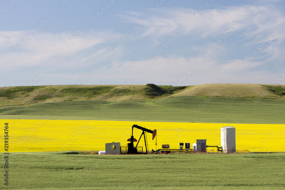 Oil Petroleum Pumpjack Alberta - obrazy, fototapety, plakaty 