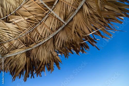 Looking up at a palapa and the blue sky photo