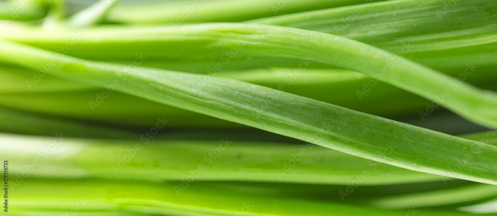 background of fresh, green onions background of fresh, green onions