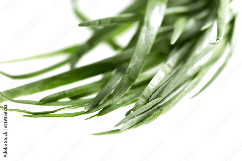 Fototapeta premium green onion on isolated on white background
