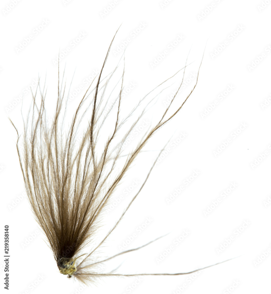 Fototapeta premium Close-up of a pen isolated on a white background