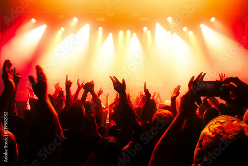 cheering crowd at rock concert in front of bright lights © DWP