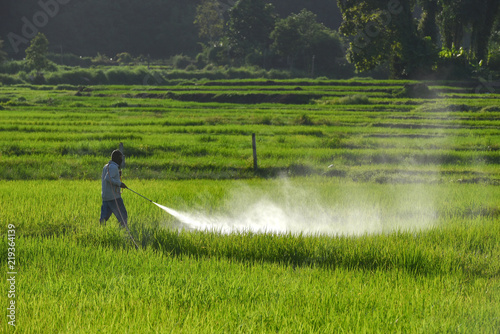  Farmer spraying pesticide on a field of white .
