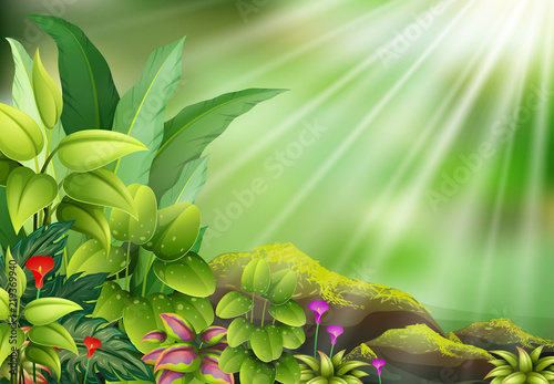 Botanical plant view on sun light