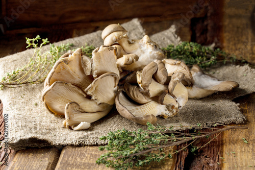 Oyster mushrooms on old wooden background.