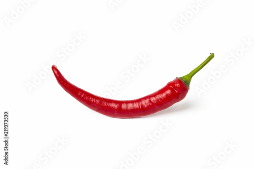 One red hot chili pepper on a white background