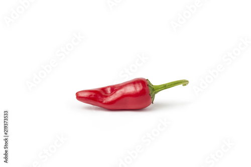 One red hot chili pepper on a white background