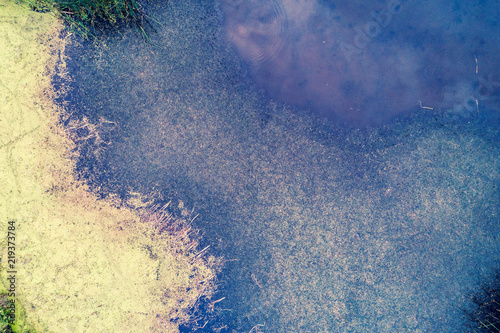 Natural abstract background. Wetland, bog surface photo