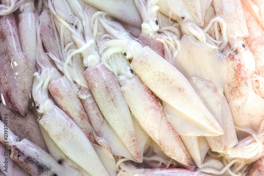 Fresh squid sell background in traditional seafood market