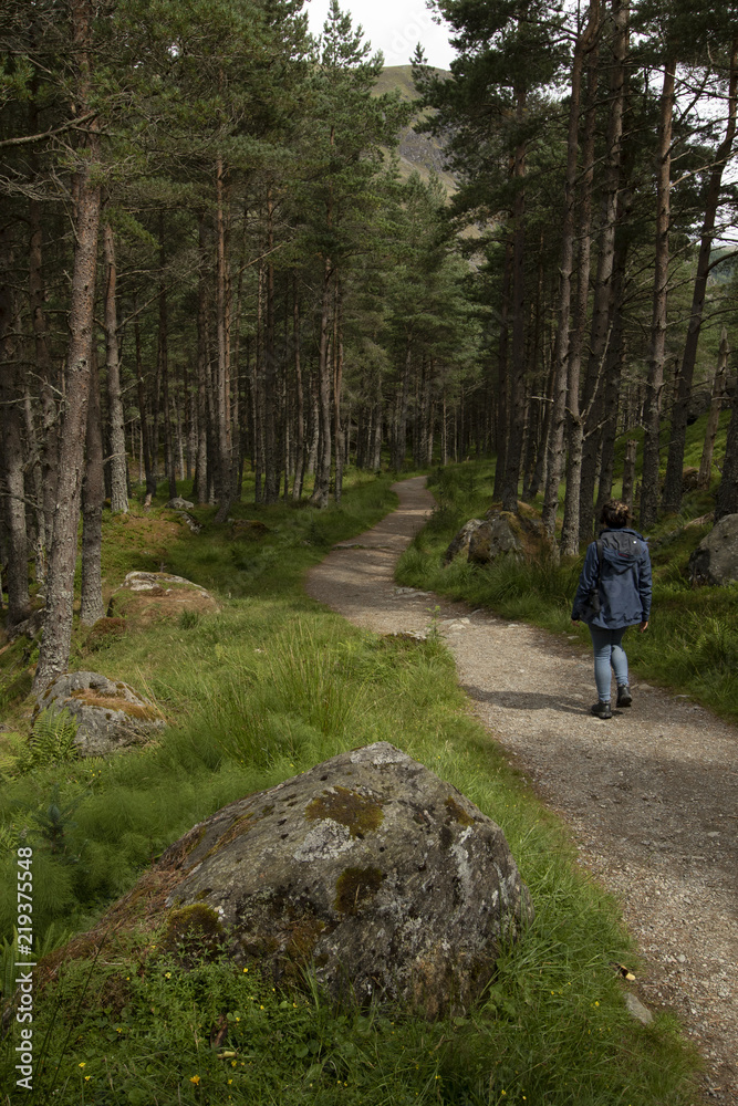 Girl walking in a pine forest
