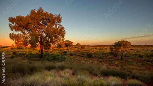 Valokuva Coucher de soleil sur le bush australien