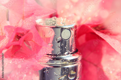 Close up of wet perfume bottle with shiny drops amongst fresh pink flower petals. Delicate aroma, spa, feminine beauty care.