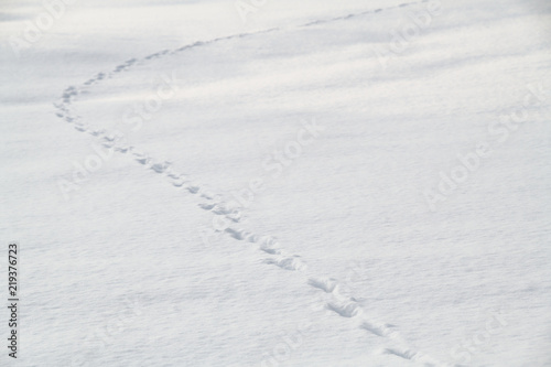 Footprint on snow A