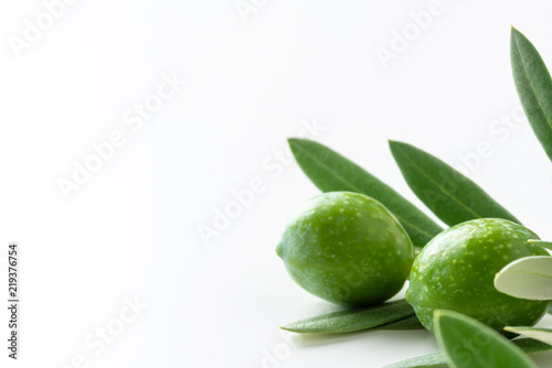 Wallpaper Mural オリーブ Torontodigital.ca