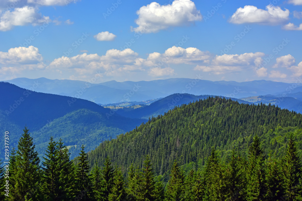 landscapes of mountains covered with dense coniferous forest, against a blue sky with clouds
