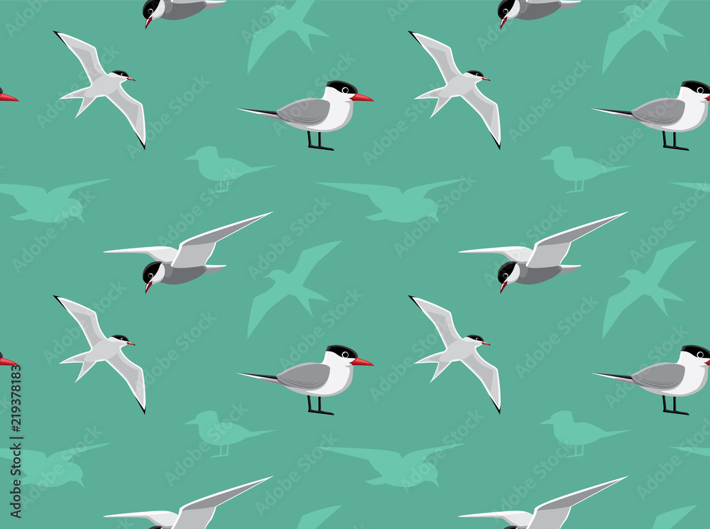 Fototapeta premium Bird Tern Wallpaper