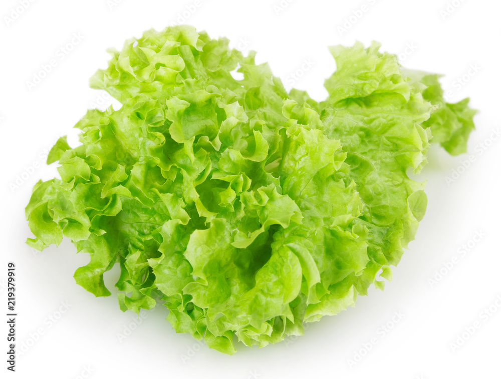 Fresh lettuce salad Fresh lettuce salad
