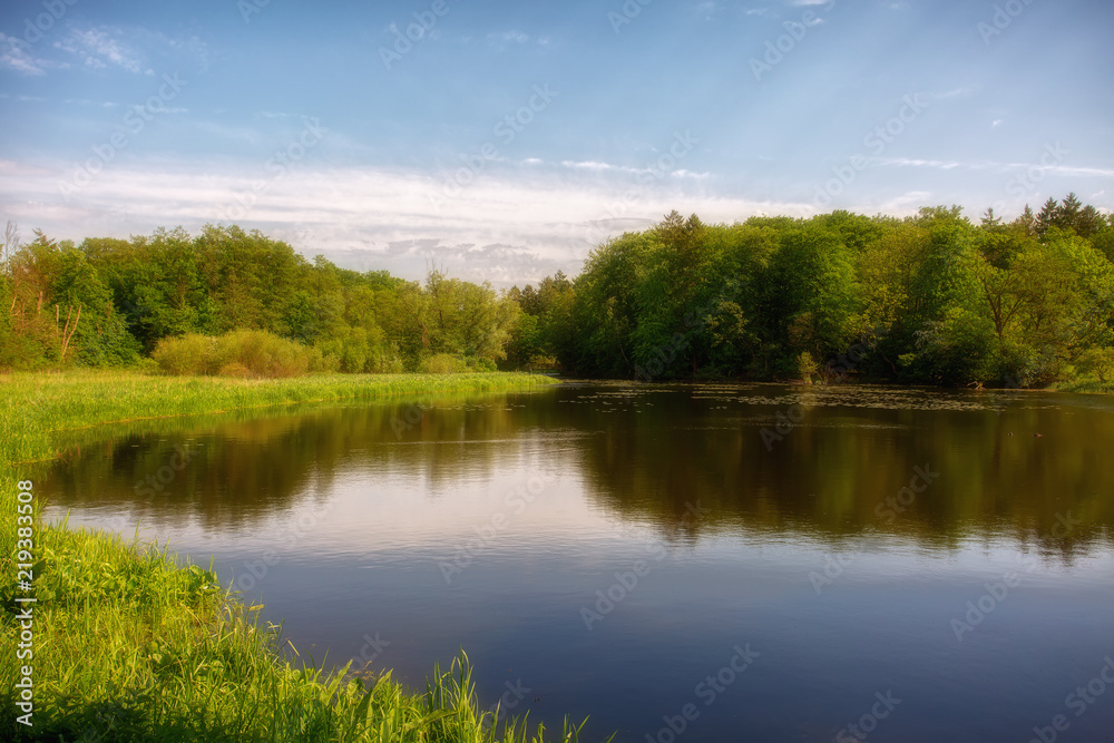 See im Wald mit schöner Spiegelung