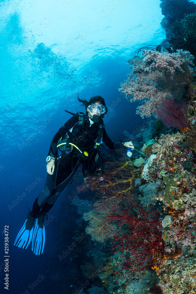 sea fan or gorgonian on the slope of a coral reef with visible water surface and fish and woman diver sea fan or gorgonian on the slope of a coral reef with visible water surface and fish and woman diver