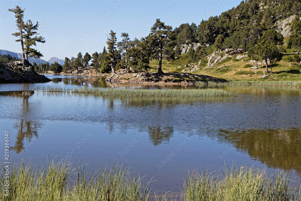 Reflet sur le Lac Achard 