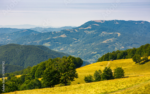 path down the alpine grassy meadow. mountain range in the distance. beech forest on hills. beautiful summer scenery