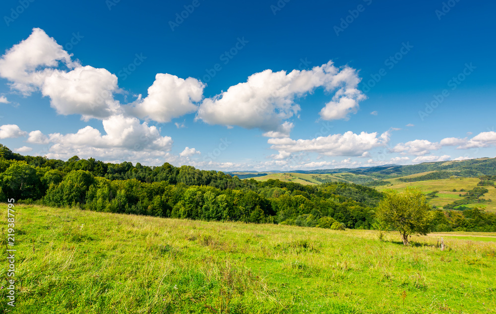 bright autumn day in good weather. fluffy clouds on a blue sky above rural landscape bright autumn day in good weather. fluffy clouds on a blue sky above rural landscape