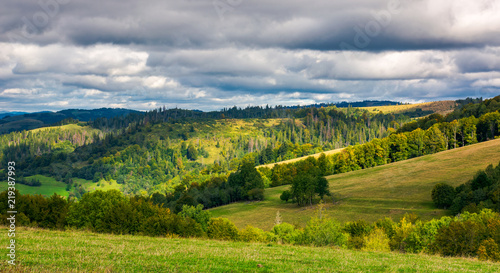 forested rolling hill on overcast day. beautiful early autumn scenery in mountains