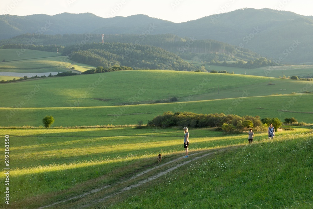 Woman walking a dog on meadow. Slovakia