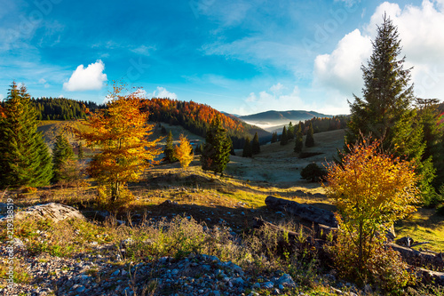 beautiful landscape in mountains. wonderful autumn sunrise with fog in the distant valley. mixed forest in colorful foliage