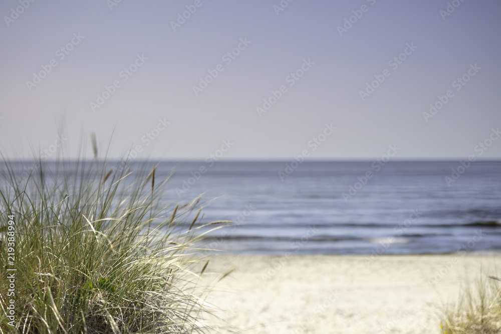 Fototapeta premium Morze Bałtyckie, widok z niebieskim bezchmurnym niebem