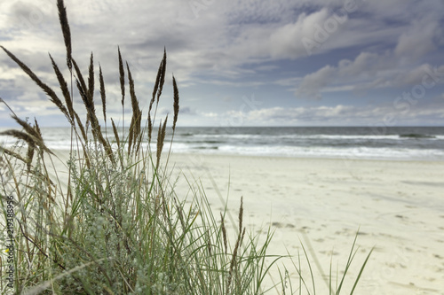 Fototapeta Naklejka Na Ścianę i Meble -  Morze Bałtyckie, widok z niebieskim bezchmurnym niebem