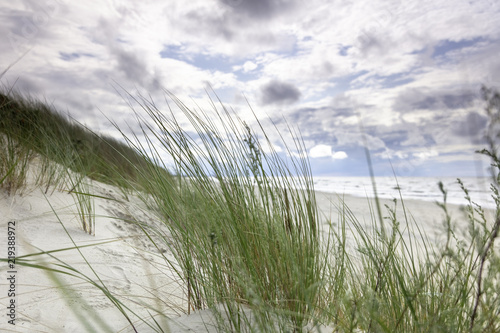 Fototapeta Naklejka Na Ścianę i Meble -  Morze Bałtyckie, widok z niebieskim bezchmurnym niebem bez ludzi, COVID-19
