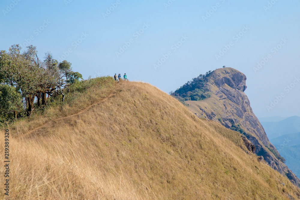 Fototapeta premium Golden Grass field and blue sky on top of mountain name 