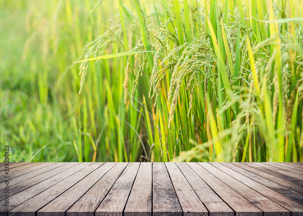 Empty of wooden table or wood floor with blurred rice field background for  product display montage. Stock Photo | Adobe Stock