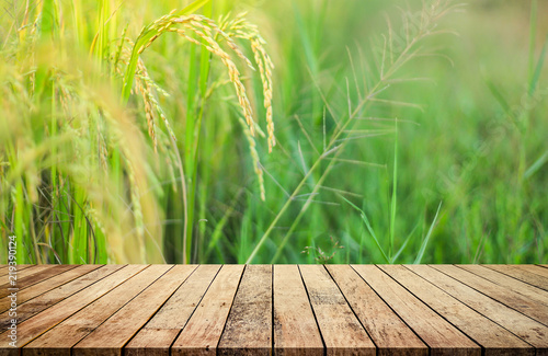 Empty of wooden table or wood floor with blurred rice field background for product display montage.