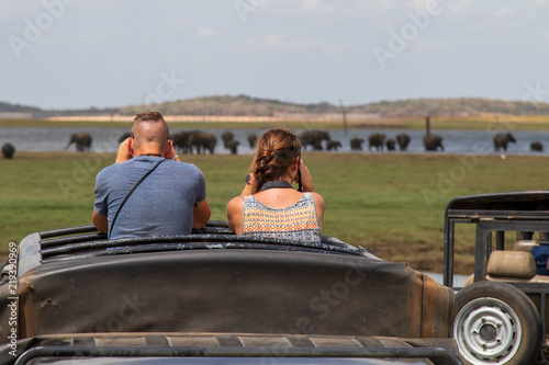 Personen mit Fernglas auf Safari, Elefanten