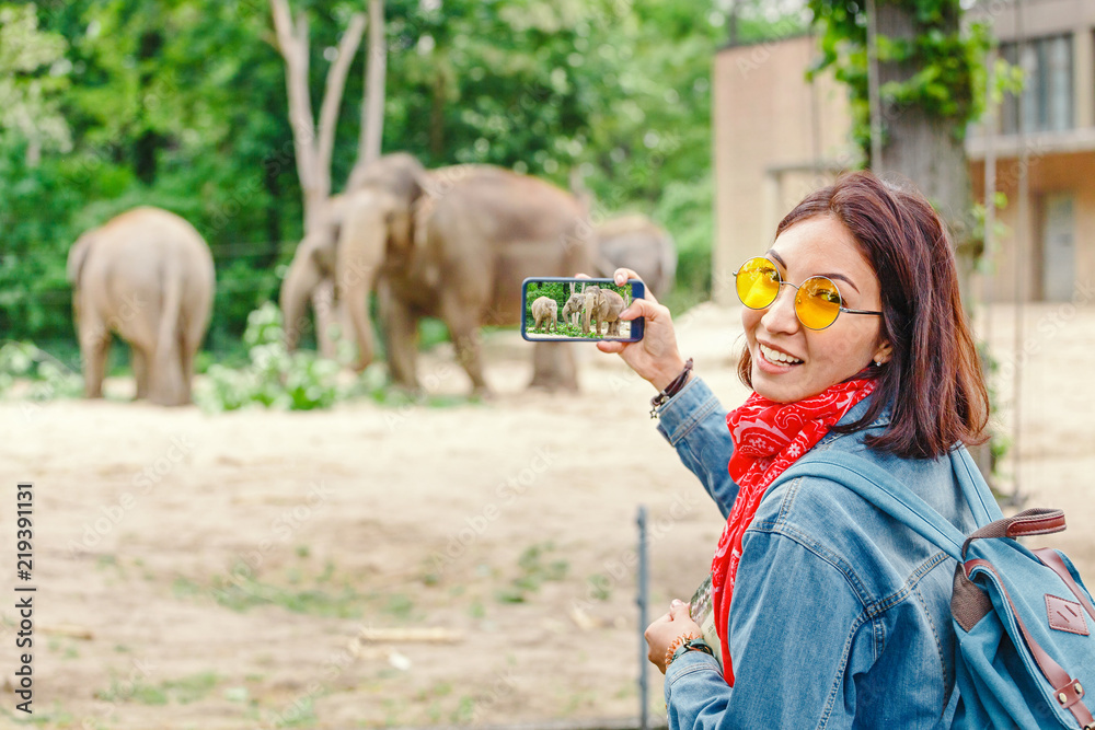 Naklejka premium Kobieta oglądając rodzinę słoni karmiącej w zoo i robiąc zdjęcia na swoim smartfonie